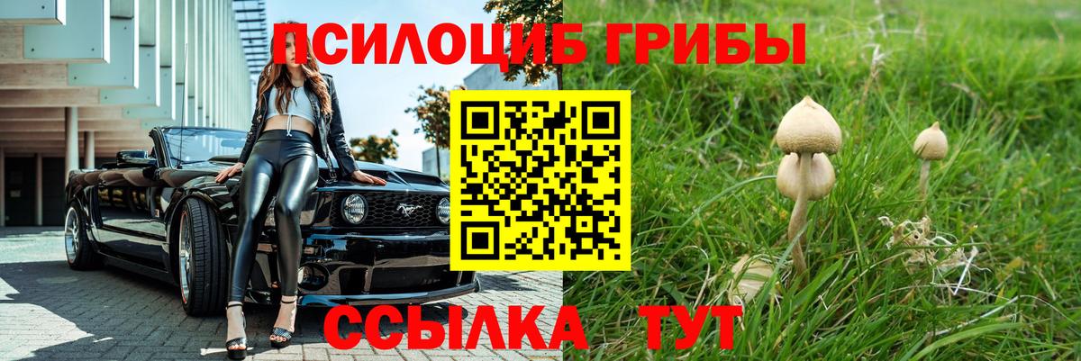 Галлюциногенные грибы GOLDEN TEACHER Жигулёвск