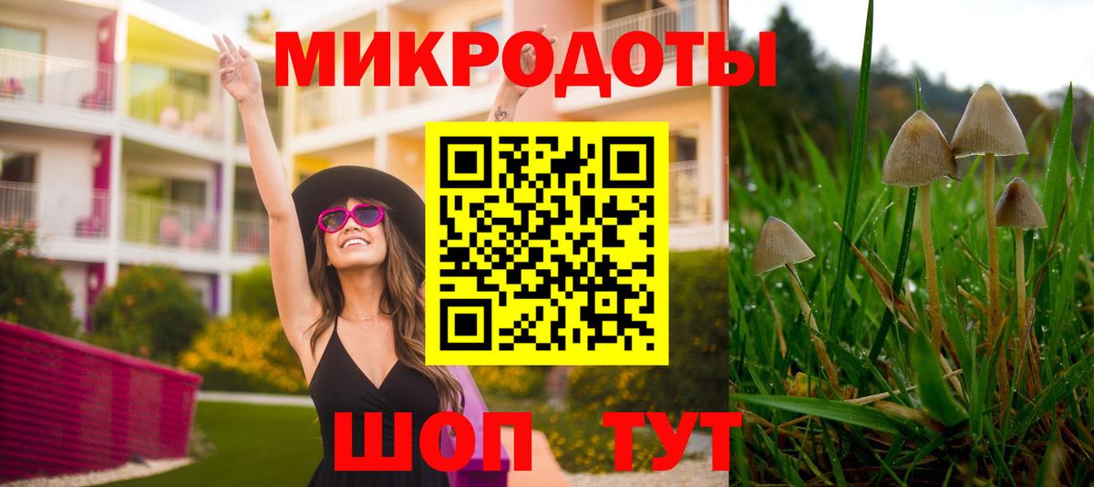 Галлюциногенные грибы Psilocybe  Вход с VPN  Псилоцибиновые грибы Psilocybe  Жигулёвск 