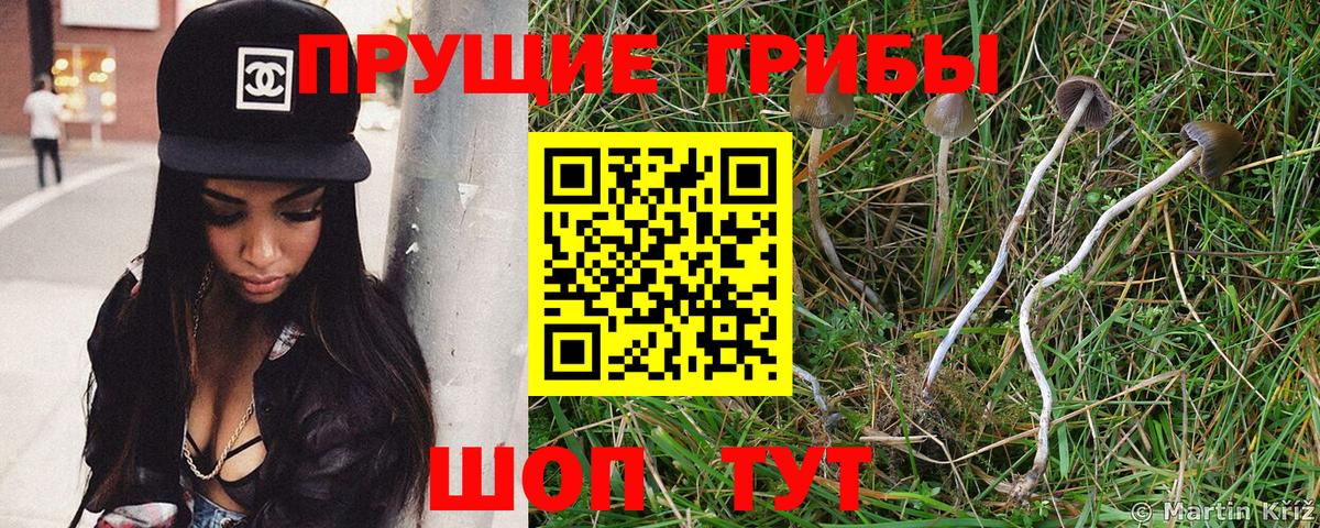 Мефедрон кристаллы  Кокаин  Вход с VPN  Жигулёвск  Героин  Конопля  Гашиш 